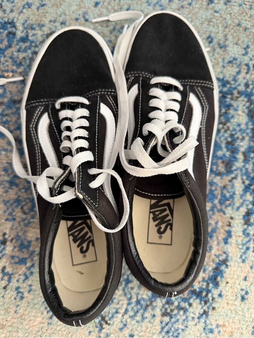 Vans Black & White Low Top Skate Shoes